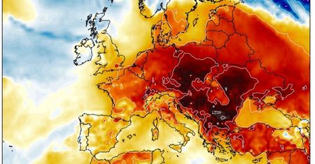 Istne przebudzenie wiosny w prognozach. I to dosłownie