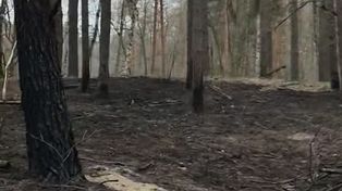 Pułtusk: Spłonęło 21 arów. Strażacy zapobiegli katastrofie