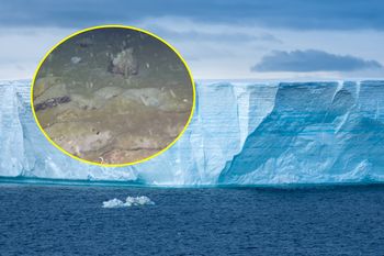 Odkrycie na Antarktydzie. Tajemnicze wzory na dnie morza