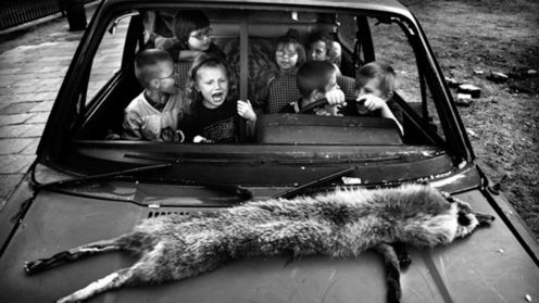 Napo Images ? fotoreportaże z najwyższej półki 1