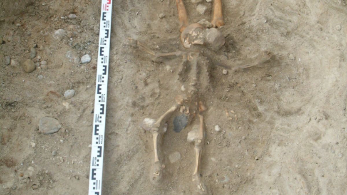 Niezwykłe pochówki odkryte na cmentarzu w Pniu