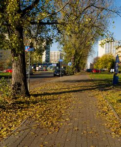 Warszawa. Drogowcy realizują kolejne projekty z Budżetu Obywatelskiego