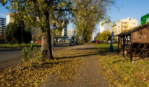 Warszawa. Drogowcy realizują kolejne projekty z Budżetu Obywatelskiego