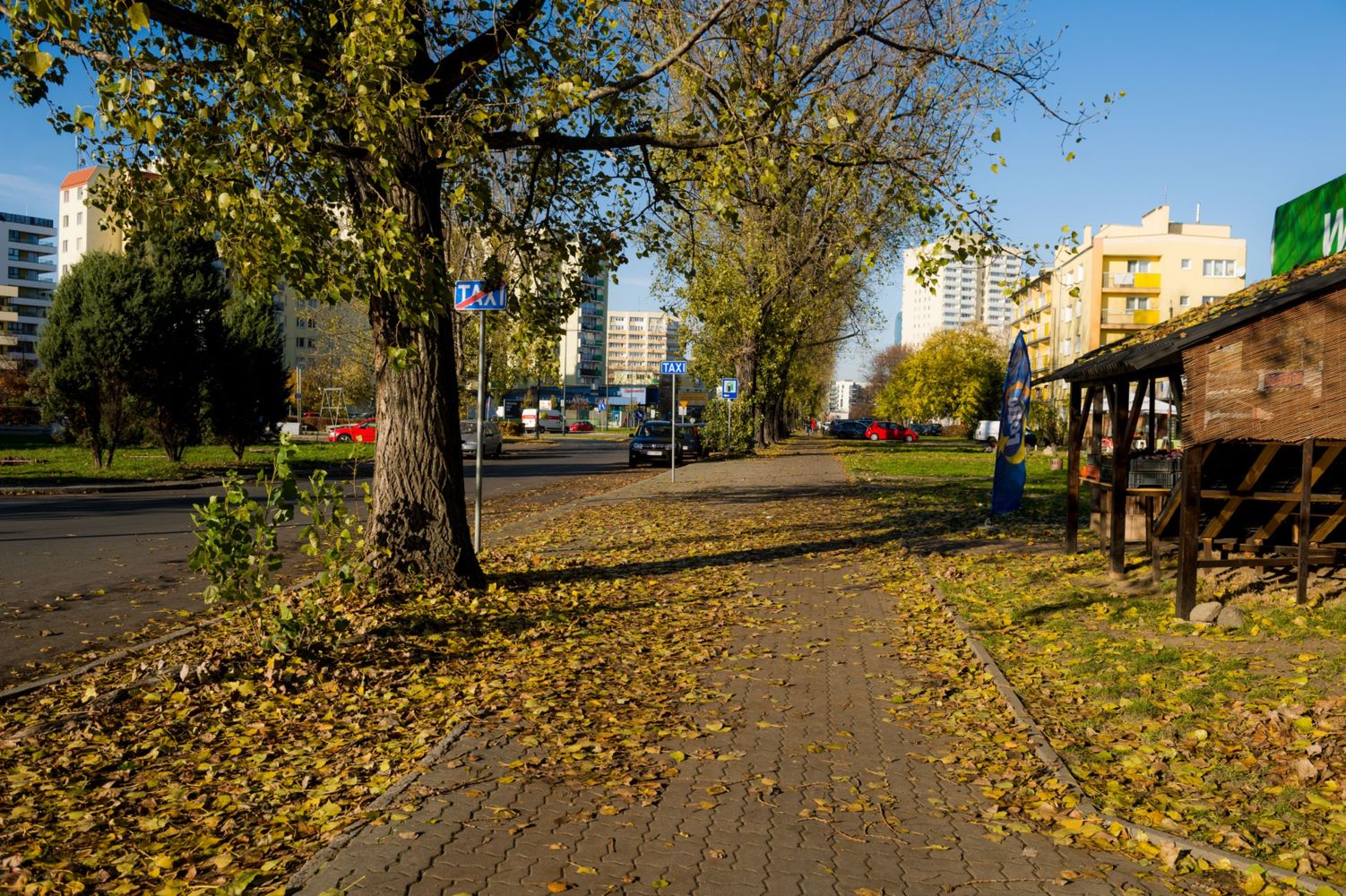 Warszawa. Drogowcy realizują kolejne projekty z Budżetu Obywatelskiego