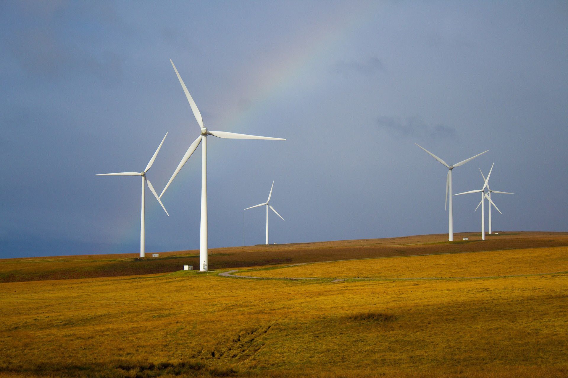 Energetyka wiatrowa. Turbiny wiatrowe na horyzoncie