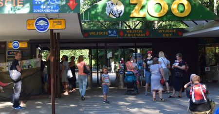 Skandal w Poznaniu. Do zoo nie wpuszczono chorego 2-latka. Dyrekcja się tłumaczy