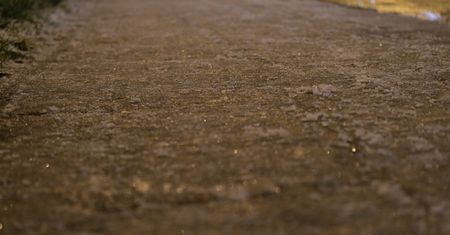 Pogoda da się we znaki mieszkańcom Lubelszczyzny. Gołoledź, oblodzenie i silny wiatr w prognozach na najbliższe godziny