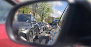 Beton kontra zieleń. Poznań szykuje się na wycinkę drzew pod nową linię tramwajową