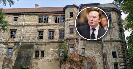Burmistrz chce sprzedać zamek Muskowi. "To dramatyczny apel o pomoc"