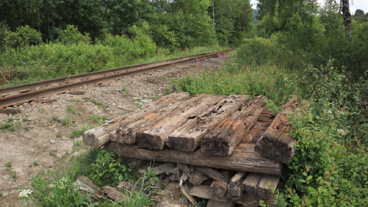 Uważaj na ten ogrodowy trend