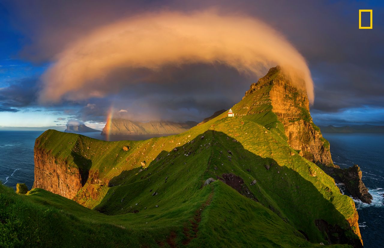 Ruszył konkurs fotograficzny Nature Photographer of The Year 2017. Pierwsze zgłoszone zdjęcia pokazują klasę