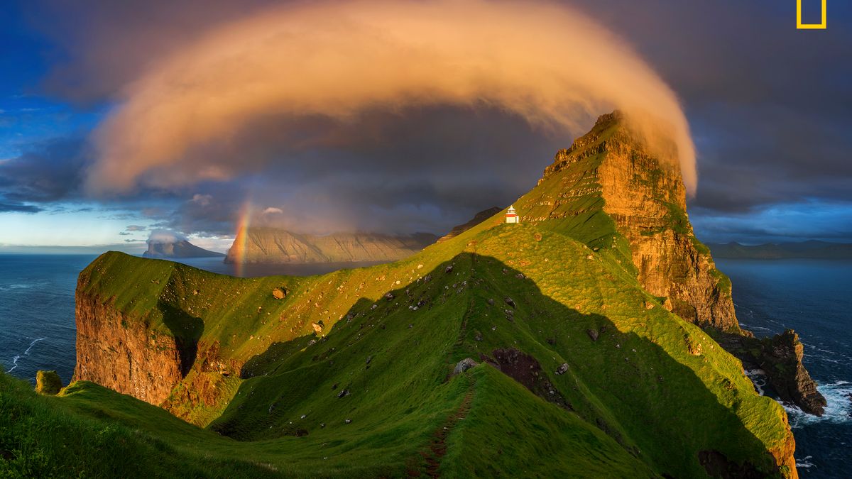 Ruszył konkurs fotograficzny Nature Photographer of The Year 2017. Pierwsze zgłoszone zdjęcia pokazują klasę 1