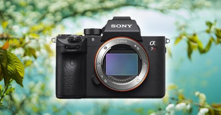 Sony A7R IV – najnowszy bezlusterkowiec wyprzedza konkurencję