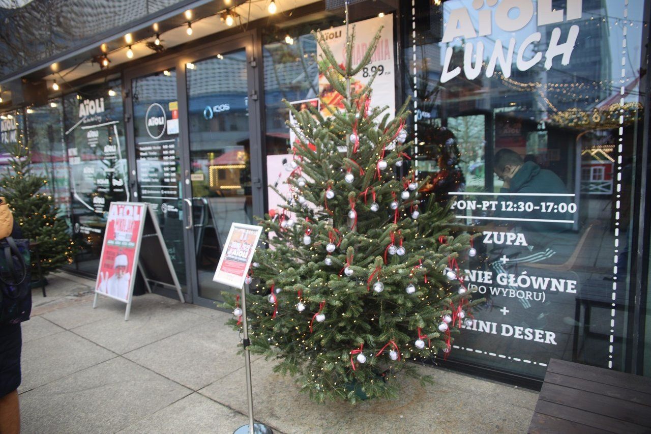 Katowice: Choinka życzeń na rynku. Każdy może spełnić marzenia