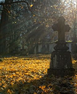 Wypadek na cmentarzu. Nagrobek przygniótł dziecko