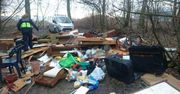 Warszawa. Tony śmieci w lasach. Ludzie zostawiają w nich wszystko