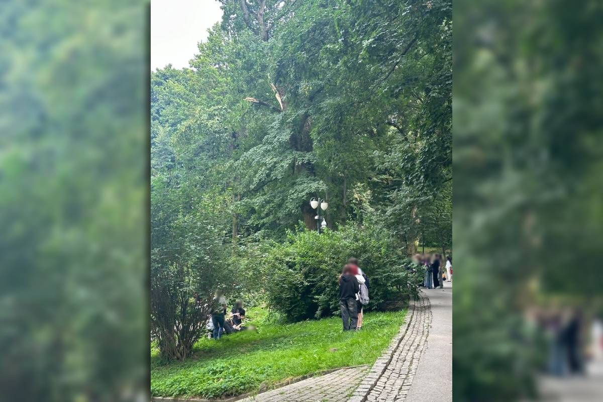 Konar oderwał się od drzewa i spadł na nastolatki w Ogrodzie Saskim