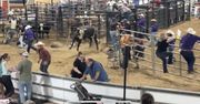 Chwile grozy na rodeo. Byk wbiegł na trybunę pełną ludzi