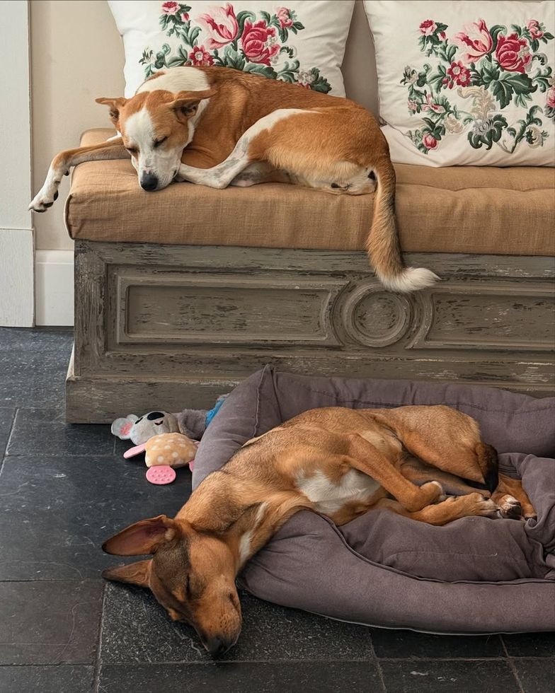 Tak mieszkają Aleksandra Kwaśniewska i Kuba Badach