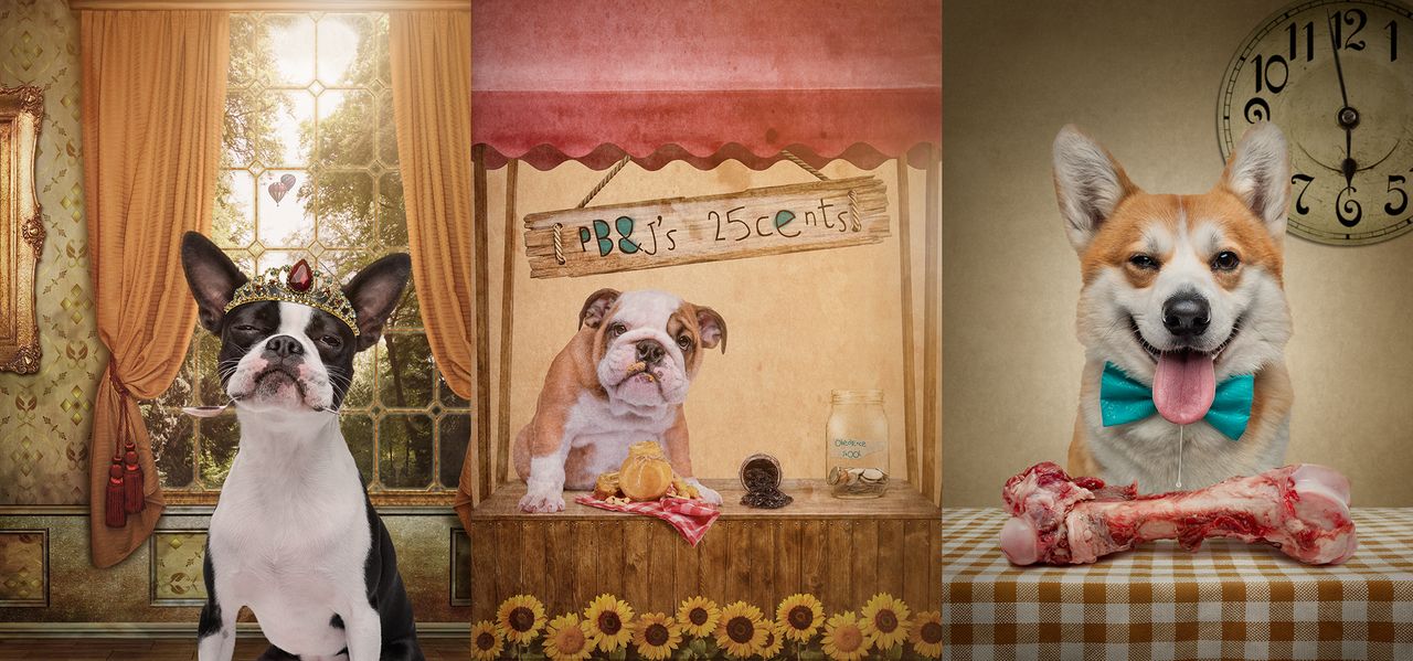 Dobieranie kolejnych stylizacji psim bohaterom doprowadziło do powstania serii ”BE MORE DOG”, w której możecie zobaczyć naprawdę różne wcielenia przyjaznych czworonogów. Każdy z nich ma swój charakter, który przemawia przez jego portret.