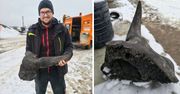 Niezwykłe znalezisko spod Płocka trafiło do muzeum. Fragment czaszki żubra stepowego odkryty podczas prac ziemnych!