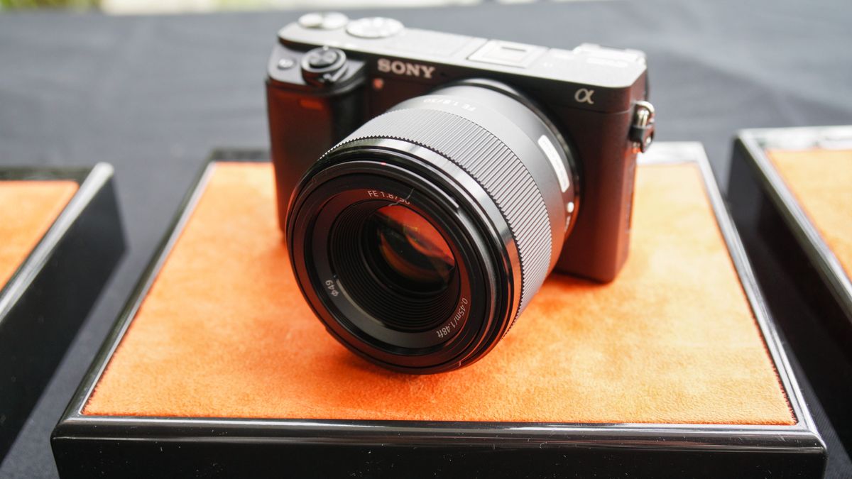 Sony FE 50 mm f/1.8 - zdjęcia przykładowe 1