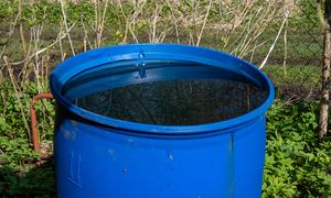 Nie rób tak z deszczówką. Kara to nawet 10 tys. zł