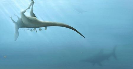 Odkryto nowy gatunek dinozaura. Był spokrewniony z Tyranozaurem rexem