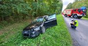 Tragiczny wypadek w Radomsku. Audi zmiotło rowerzystkę