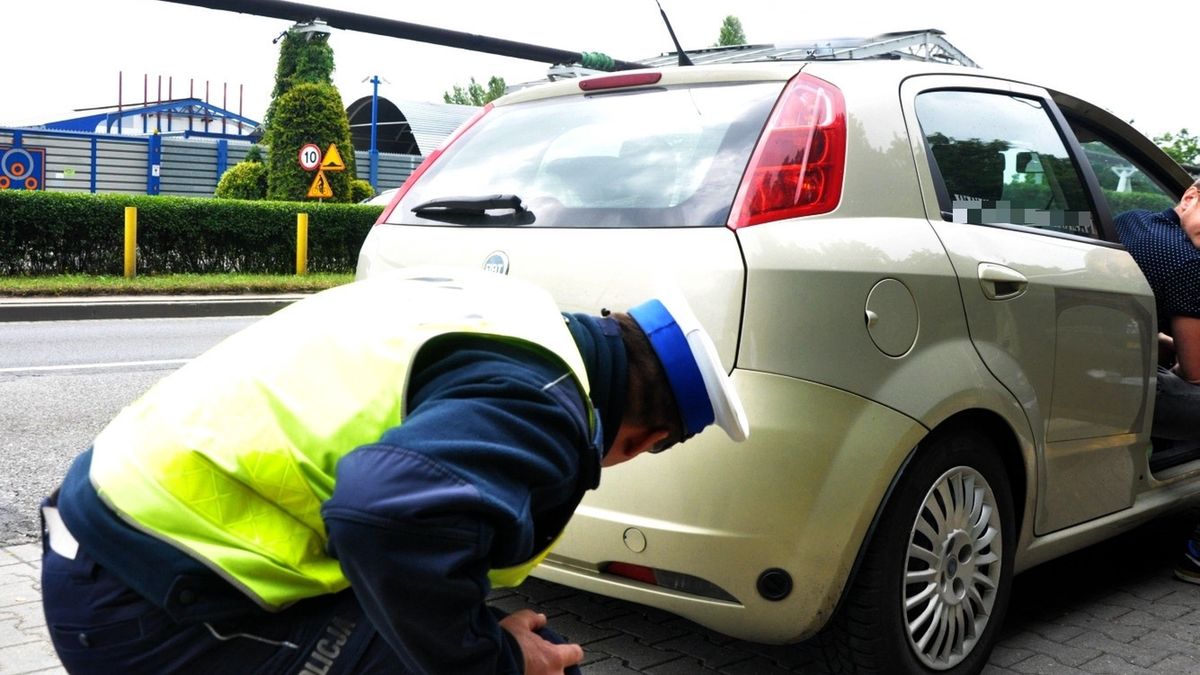 Kontrola, opony, tablica rejestracyjna