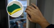 Włóż gąbkę do lodówki. Efekty już po trzech godzinach