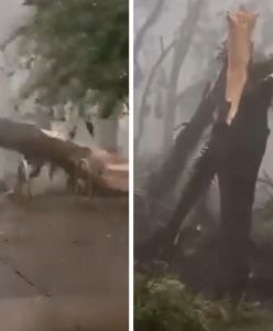 Sao Paulo po cyklonie: 1,3 mln osób bez prądu. Setki lotów odwołanych