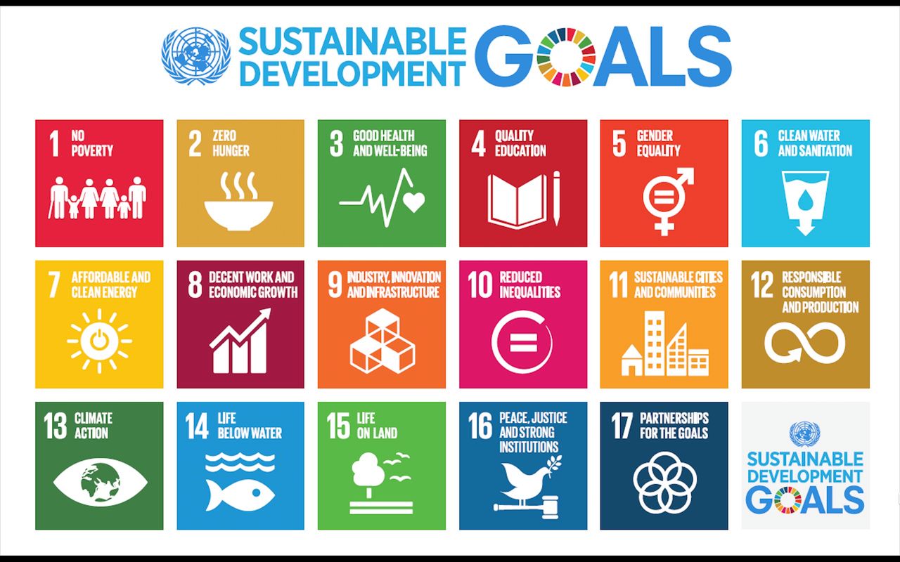 Cele Zrównoważonego Rozwoju, Organizacja Narodów Zjednoczonych