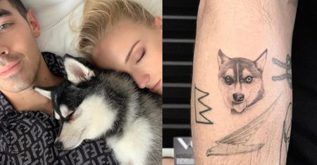 Joe Jonas i Sophie Turner stracili psa. Para upamiętniła zmarłego pupila tatuażami (FOTO)