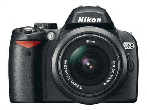 Nikon D65? 1