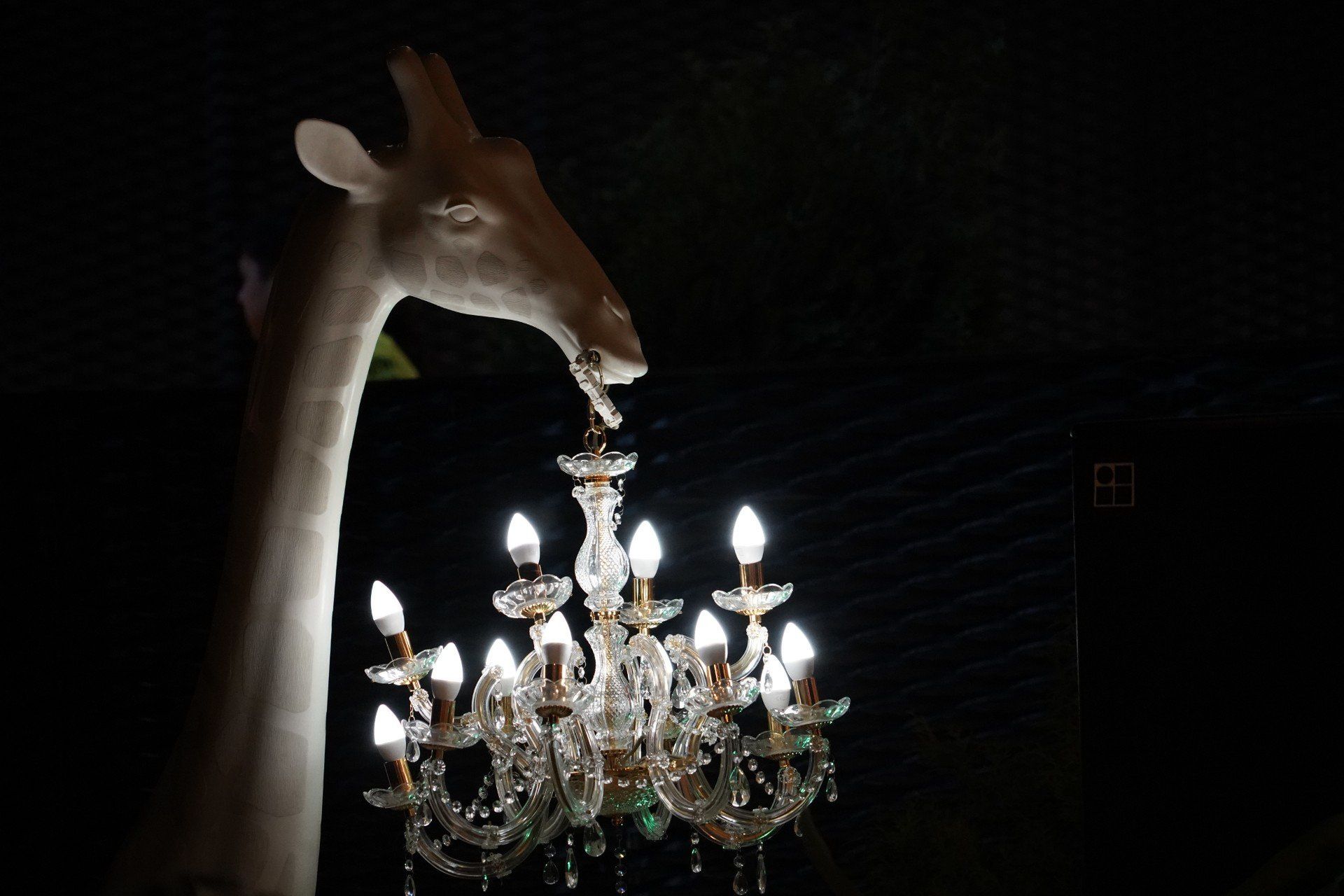 Śląski Festiwal Nauki 2024