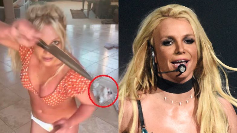 Taniec Britney Spears z NOŻAMI przeraził jej fanów.