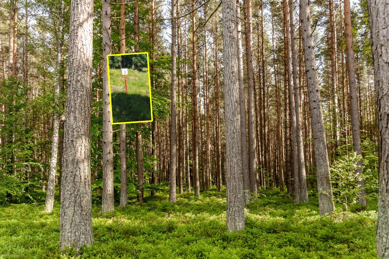 Takie tabliczki przy rzece. Leśnicy tłumaczą