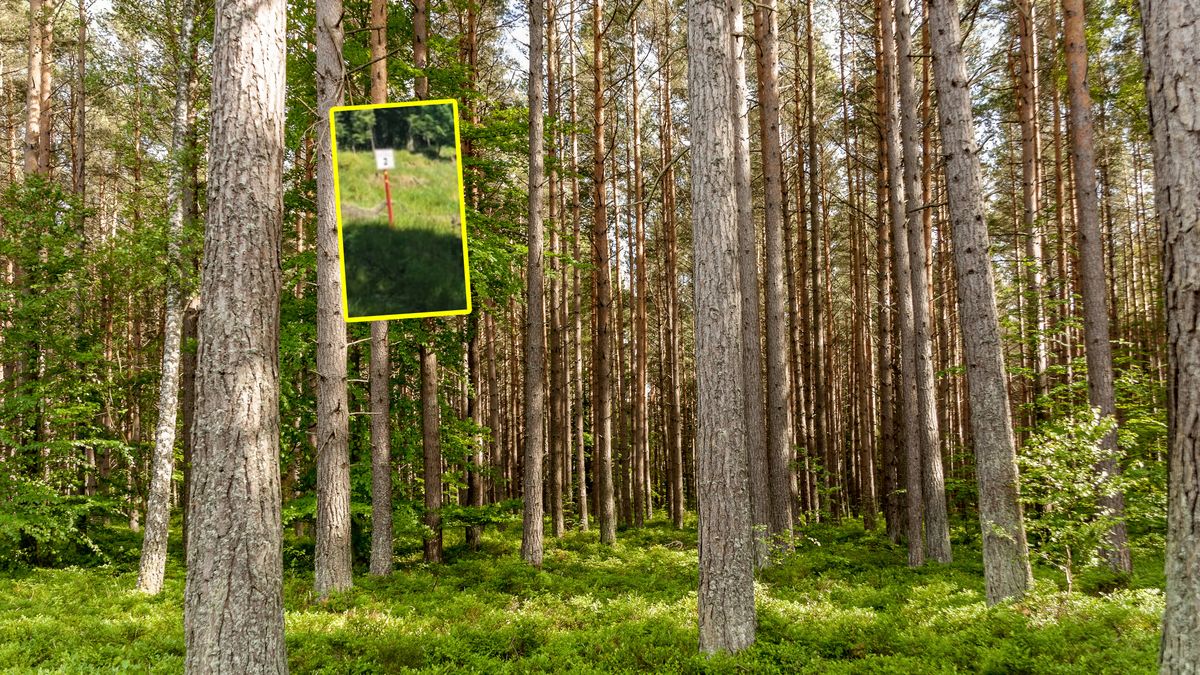 Nadleśnictwo Zawadzkie przypomina o znaczeniu tabliczek.