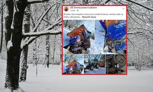 Tak zakończyło się odśnieżanie parku w Łodzi. "Kto teraz zapłaci za naprawę?"