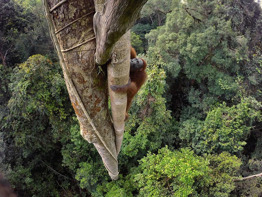 Oto najlepsze fotografie 2016 roku według magazynu National Geographic 5