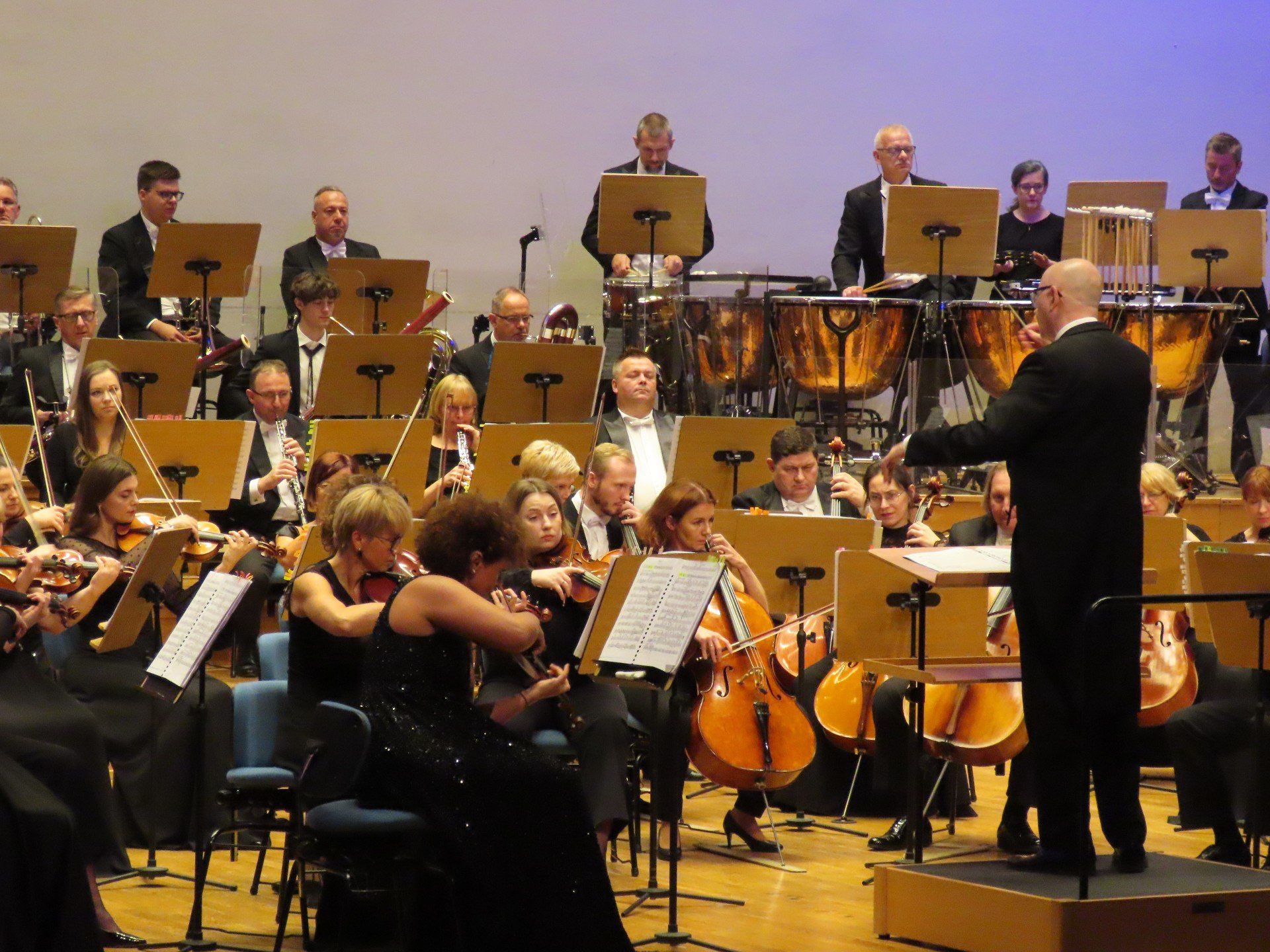 String Festival - Filharmonia Zielonogórska