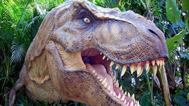 Jak nazywa się pierwsza zarejestrowana domena internetowa? 1