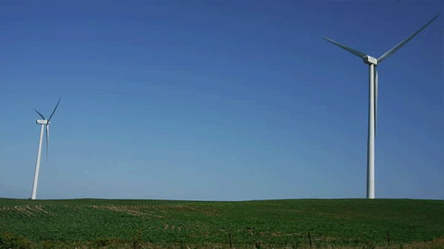 Najlepsze cinemagraphy wprost z konkursu 3