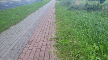 Koszalin: Ścieżki rowerowe wymagają pilnej naprawy