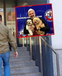 Ukradli psy byłemu burmistrzowi Zurychu. Zażądali okupu