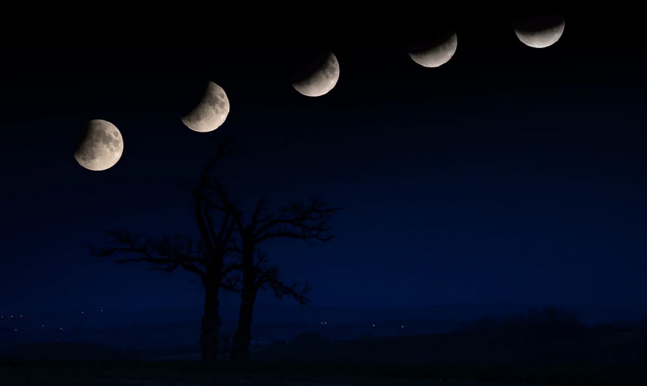 Pełnia Księżyca 2020. Oto najlepsze apki do obserwacji nieba fot. Witold Ochał