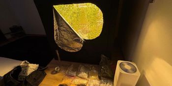 Bielsko-Biała: Zlikwidowano plantację i przejęto 5 kg narkotyków