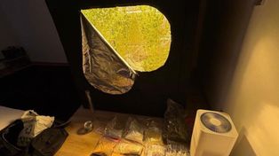 Bielsko-Biała: Zlikwidowano plantację i przejęto 5 kg narkotyków