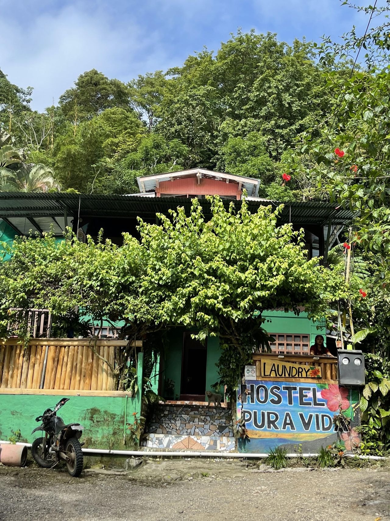 Hostel Pura Vida w Montezuma